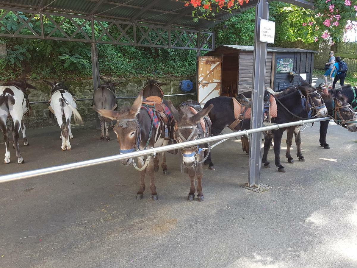 Ferienhaus Mueller Unkel Zewnętrze zdjęcie